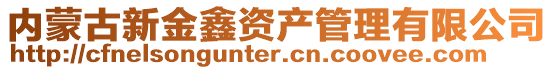 内蒙古新金鑫资产管理有限公司