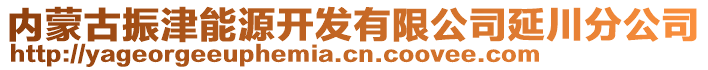 內(nèi)蒙古振津能源開發(fā)有限公司延川分公司