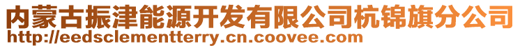 內(nèi)蒙古振津能源開發(fā)有限公司杭錦旗分公司