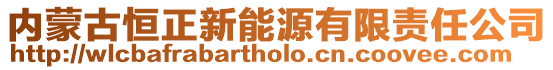 內蒙古恒正新能源有限責任公司