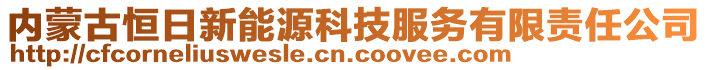 內(nèi)蒙古恒日新能源科技服務(wù)有限責(zé)任公司