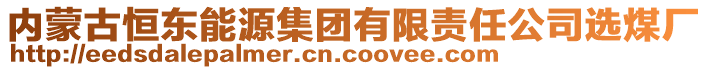 內(nèi)蒙古恒東能源集團有限責(zé)任公司選煤廠