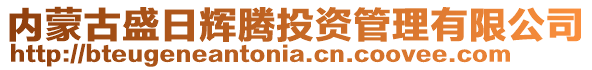 內蒙古盛日輝騰投資管理有限公司