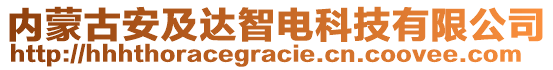 內蒙古安及達智電科技有限公司