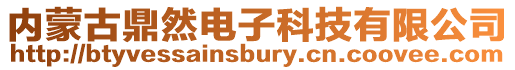 內蒙古鼎然電子科技有限公司