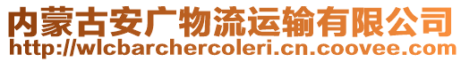 內(nèi)蒙古安廣物流運(yùn)輸有限公司