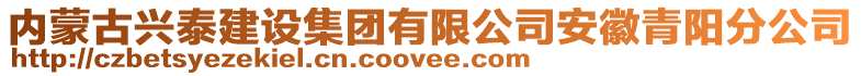 內(nèi)蒙古興泰建設(shè)集團有限公司安徽青陽分公司