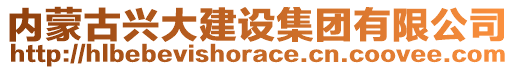 內(nèi)蒙古興大建設(shè)集團(tuán)有限公司