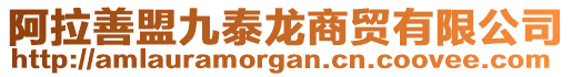 阿拉善盟九泰龍商貿(mào)有限公司