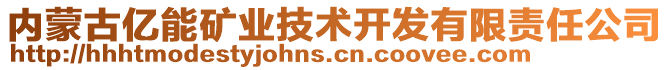 內(nèi)蒙古億能礦業(yè)技術(shù)開發(fā)有限責(zé)任公司