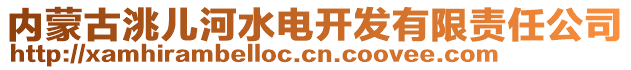 內(nèi)蒙古洮兒河水電開發(fā)有限責(zé)任公司