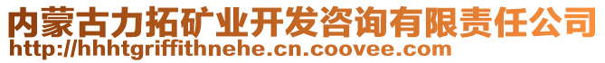 內(nèi)蒙古力拓礦業(yè)開發(fā)咨詢有限責(zé)任公司