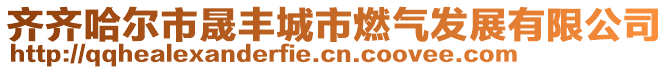 齊齊哈爾市晟豐城市燃?xì)獍l(fā)展有限公司