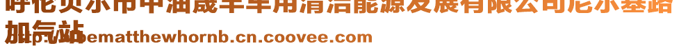 呼倫貝爾市中油晟豐車用清潔能源發(fā)展有限公司尼爾基路
加氣站