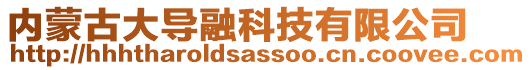內蒙古大導融科技有限公司