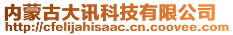 內(nèi)蒙古大訊科技有限公司