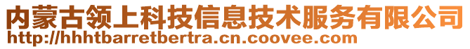 內蒙古領上科技信息技術服務有限公司