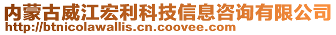 內(nèi)蒙古威江宏利科技信息咨詢有限公司