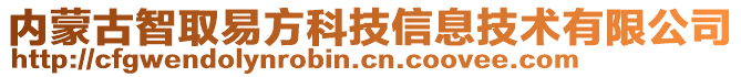 內(nèi)蒙古智取易方科技信息技術(shù)有限公司