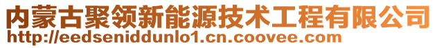 内蒙古聚领新能源技术工程有限公司