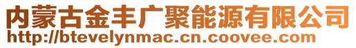 內(nèi)蒙古金豐廣聚能源有限公司