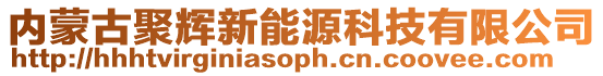 内蒙古聚辉新能源科技有限公司