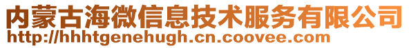 內蒙古海微信息技術服務有限公司