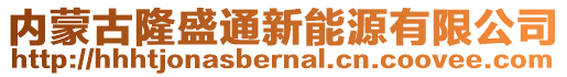 內(nèi)蒙古隆盛通新能源有限公司