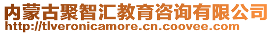 内蒙古聚智汇教育咨询有限公司