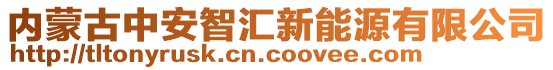 内蒙古中安智汇新能源有限公司