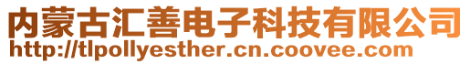 內(nèi)蒙古匯善電子科技有限公司