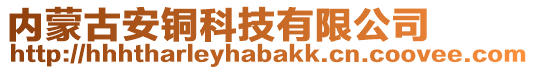 内蒙古安铜科技有限公司