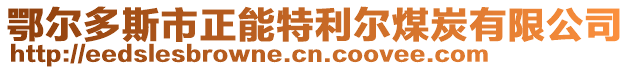 鄂爾多斯市正能特利爾煤炭有限公司