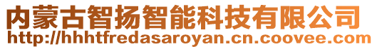 內蒙古智揚智能科技有限公司