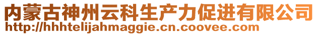 內(nèi)蒙古神州云科生產(chǎn)力促進(jìn)有限公司