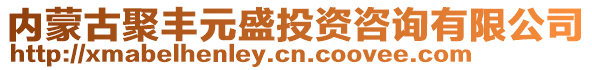 內蒙古聚豐元盛投資咨詢有限公司