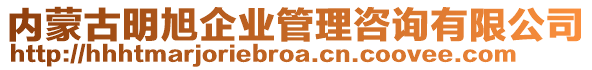 內蒙古明旭企業(yè)管理咨詢有限公司