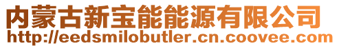 內蒙古新寶能能源有限公司