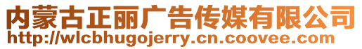 內蒙古正麗廣告傳媒有限公司