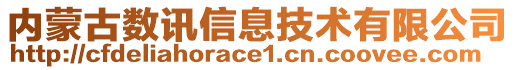 內(nèi)蒙古數(shù)訊信息技術(shù)有限公司