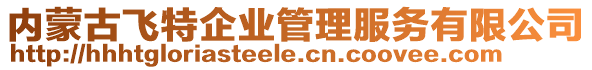 內(nèi)蒙古飛特企業(yè)管理服務(wù)有限公司