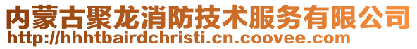 內(nèi)蒙古聚龍消防技術服務有限公司