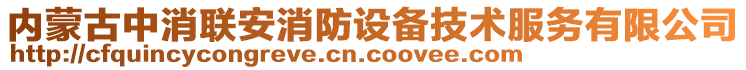 內(nèi)蒙古中消聯(lián)安消防設(shè)備技術(shù)服務(wù)有限公司