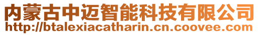 內(nèi)蒙古中邁智能科技有限公司