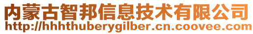 內(nèi)蒙古智邦信息技術(shù)有限公司