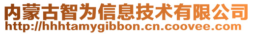 內(nèi)蒙古智為信息技術(shù)有限公司