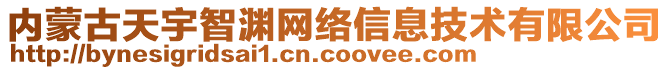 內蒙古天宇智淵網絡信息技術有限公司