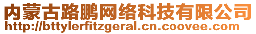 內(nèi)蒙古路鵬網(wǎng)絡(luò)科技有限公司