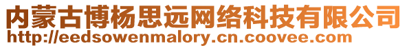 內蒙古博楊思遠網絡科技有限公司