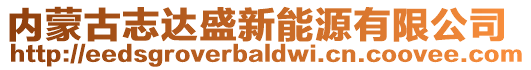 內(nèi)蒙古志達盛新能源有限公司